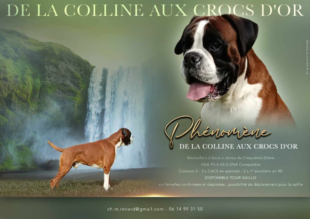 CH. Phénomène De La Colline Aux Crocs D'or